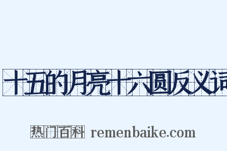 十五的月亮十六圆反义词是什么意思的图片